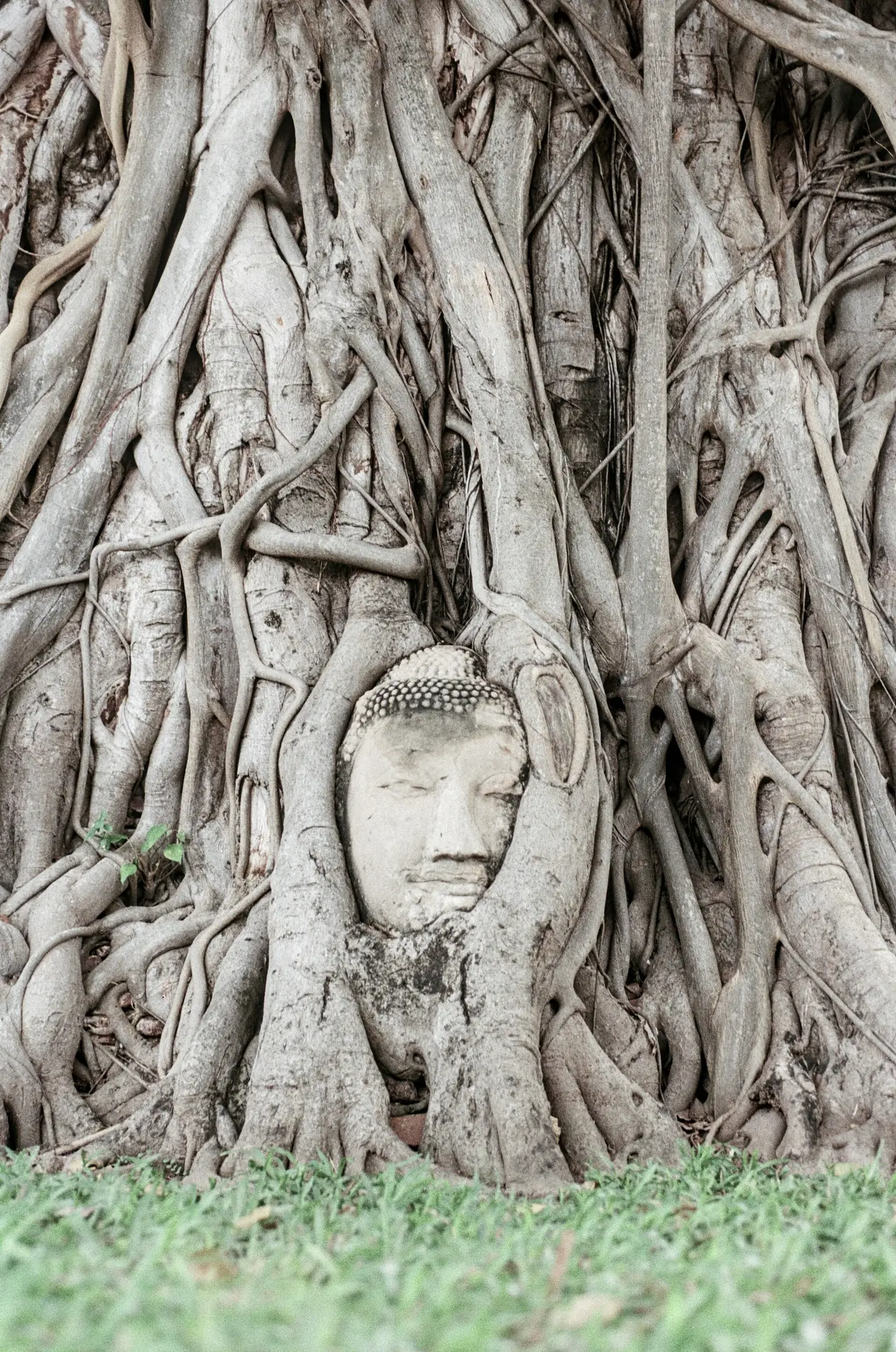 ภาพอยุธยา: อุทยานประวัติศาสตร์อยุธยา ค่าเข้า เวลาเปิด ตั๋วรวมวัด