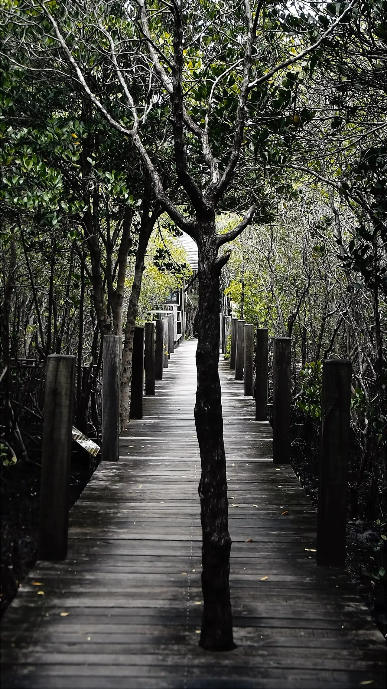 ภาพจันทบุรี: อ่าวคุ้งกระเบน แหลมสิงห์ หาดเจ้าหลาว เที่ยวชายฝั่งจันทบุรี