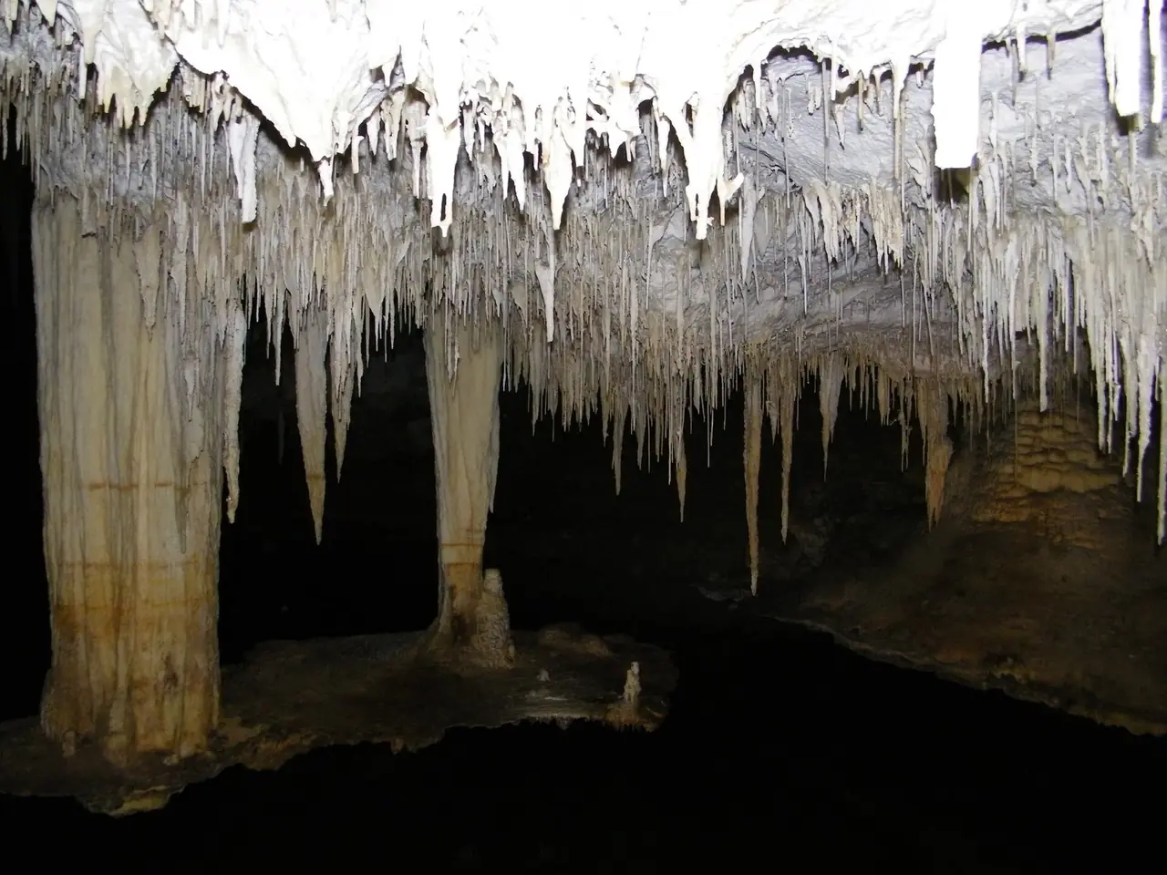 ห้องหินงอกหินย้อยและแอ่งน้ำใต้ดินใน Lake Cave ภาพจาก Wikimedia Commons ผู้ถ่าย Michael Spencer สัญญา CC BY 2.0 เป็นภาพเก่าไม่ระบุปีที่ถ่าย