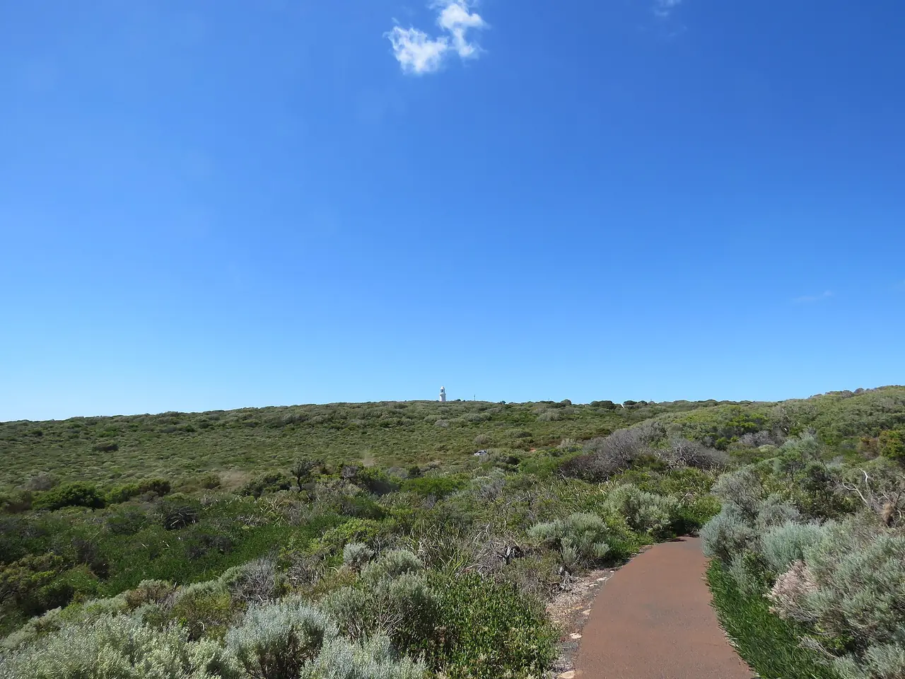 ทางเดินเท้าบนแหลมที่นำไปสู่ประภาคาร Cape Naturaliste ซึ่งเห็นเป็นจุดเล็ก ๆ ไกลออกไปตรงกลางภาพ ภาพจาก Wikimedia Commons ผู้ถ่าย Calistemon สัญญา CC BY-SA 4.0 ถ่ายกุมภาพันธ์ 2021