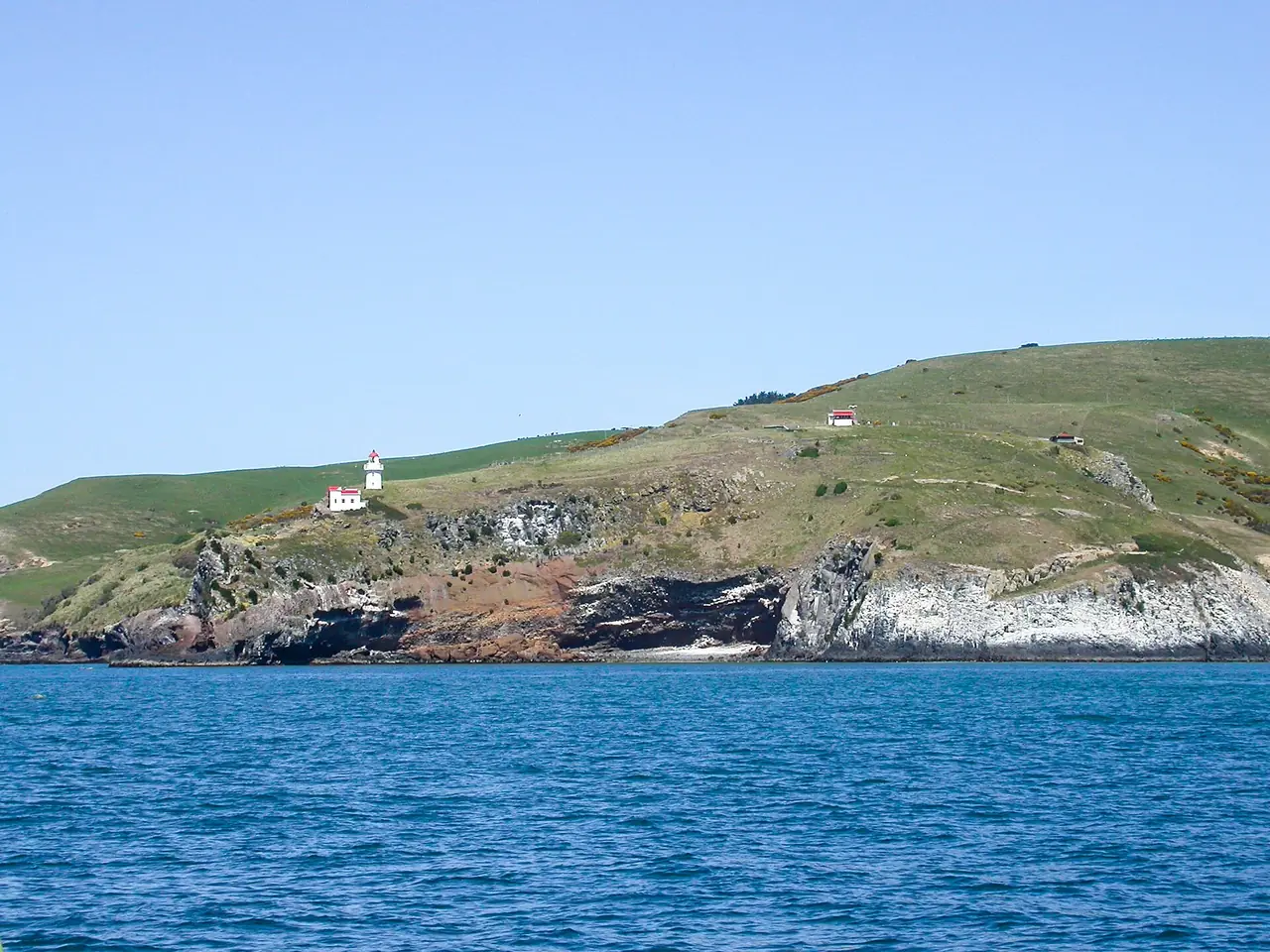 แหลม Taiaroa Head และประภาคารเล็กมองจากทะเล ภาพจาก Wikimedia Commons ผู้ถ่าย sussexbirder สัญญา CC BY 2.0 ไม่ระบุปีที่ถ่าย