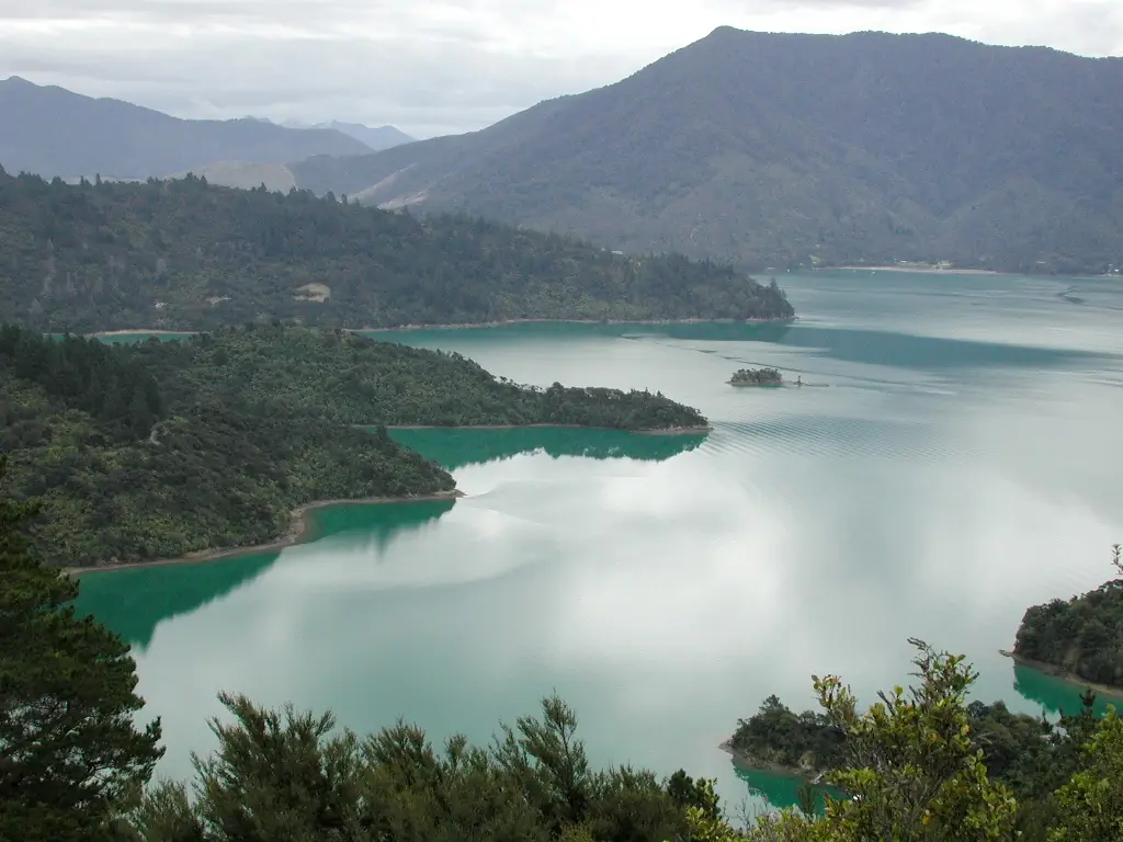 อ่าว Te Mahia เห็นน้ำสีฟ้าเขียวและเนินป่า มองจาก Queen Charlotte Track ภาพจาก Wikimedia Commons ผู้ถ่าย Pseudopanax สัญญา public domain ไม่ระบุปีที่ถ่าย