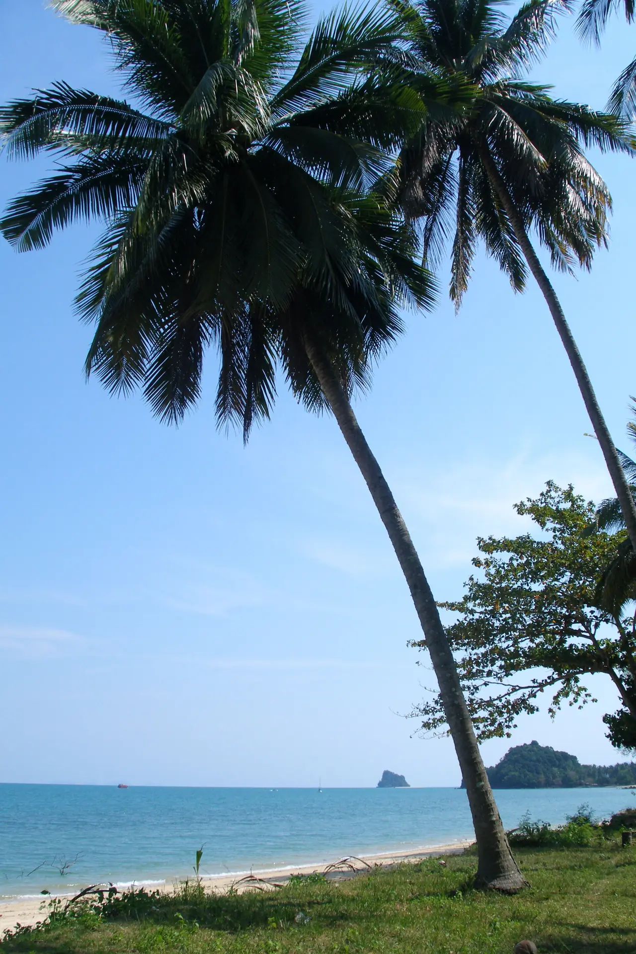 ภาพเกาะยาวน้อย: หาดและจุดชมวิวเกาะยาวน้อย ป่าทราย ท่าเขา เกาะนก ปั่นจักรยาน