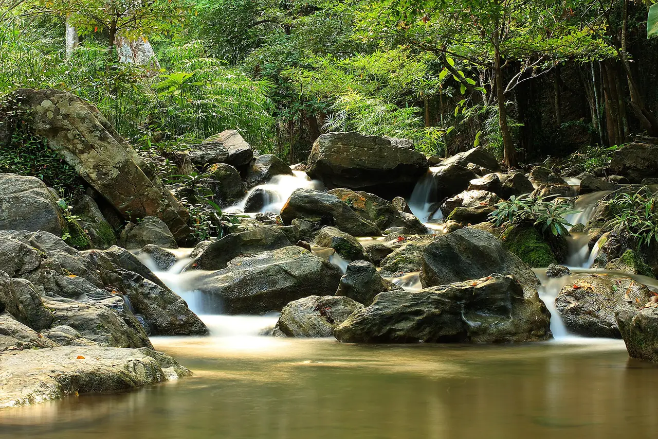 ภาพตาก: อุทยานและน้ำตกตาก ลานสาง ขุนพะวอ พาเจริญ แม่เมย แม่ปิง
