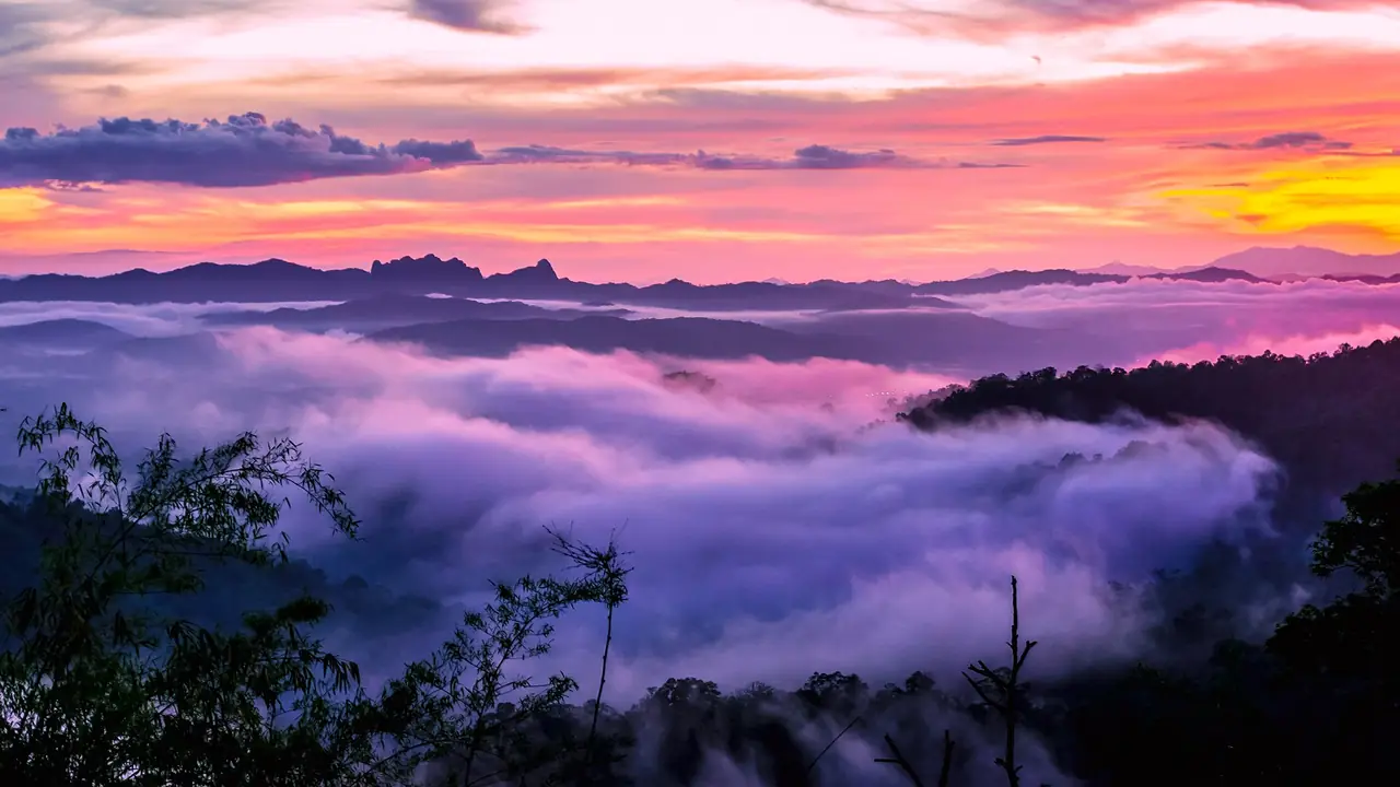 ภาพตาก: ดอยมูเซอ ตลาดมูเซอ อุทยานตากสินมหาราช ต้นกระบาก 700 ปี