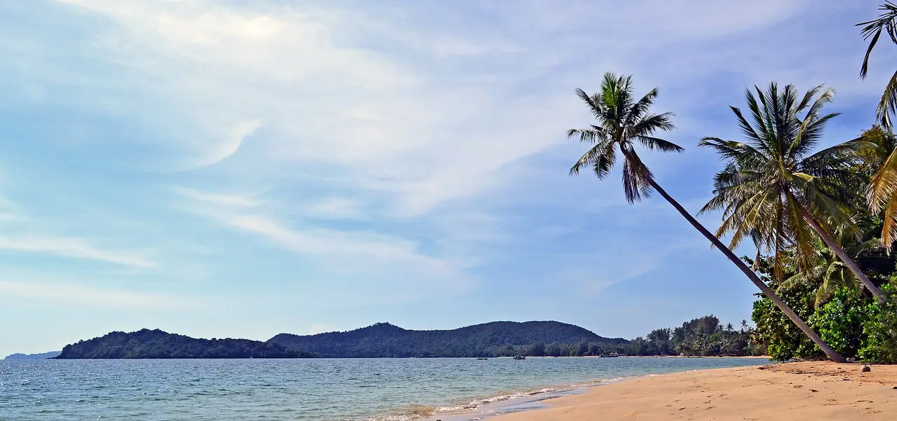 หาดทรายกับต้นมะพร้าวเอนและภูเขาเตี้ยไกล ๆ ภาพจาก Wikimedia Commons ผู้ถ่าย Ksim สัญญา CC BY-SA 4.0 ชื่อไฟล์ระบุว่า Ao Kao ส่วนเราไม่ได้ตรวจกับแผนที่ว่าตรงกับอ่าวขาวบนเกาะหมาก ยังไม่ยืนยัน ใช้เป็นภาพประกอบหาดทะเลอ่าวไทย