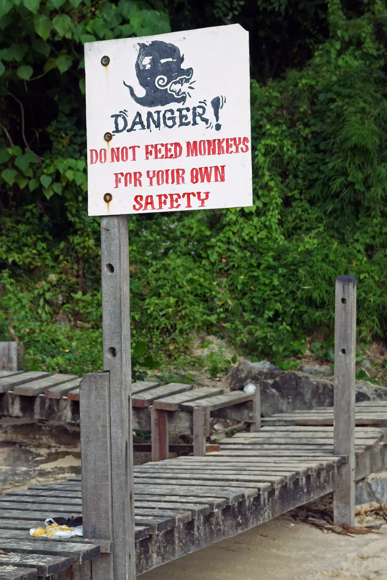 ป้ายสีขาวแดง Danger Do not feed monkeys for your own safety ติดข้างทางเดินไม้ริมหาดอ่าวนาง ภาพจาก Wikimedia Commons ผู้ถ่าย kallerna สัญญา CC BY-SA 3.0 ตามคำบรรยายไฟล์ ไม่ระบุปีที่ถ่าย ป้ายอาจเปลี่ยนไปแล้ว